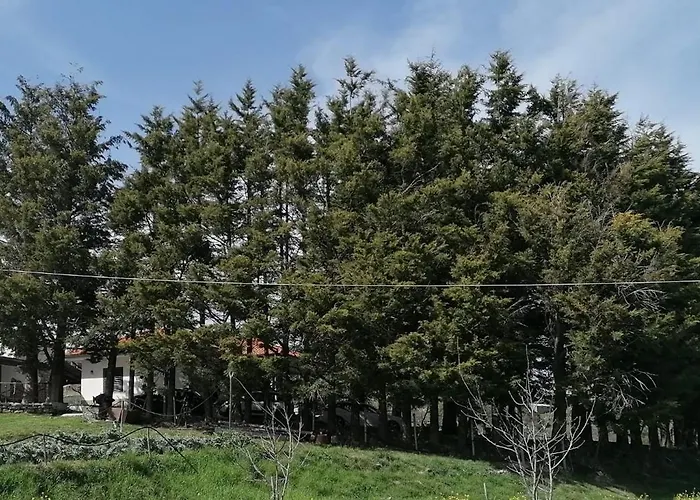 B&B Tenuta Piano Campo